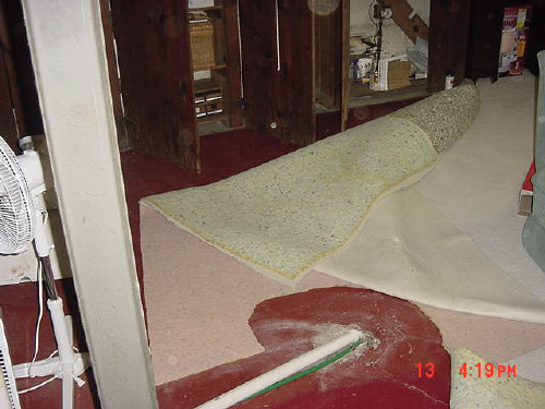 mold from wet carpet and padding